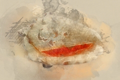 shell1